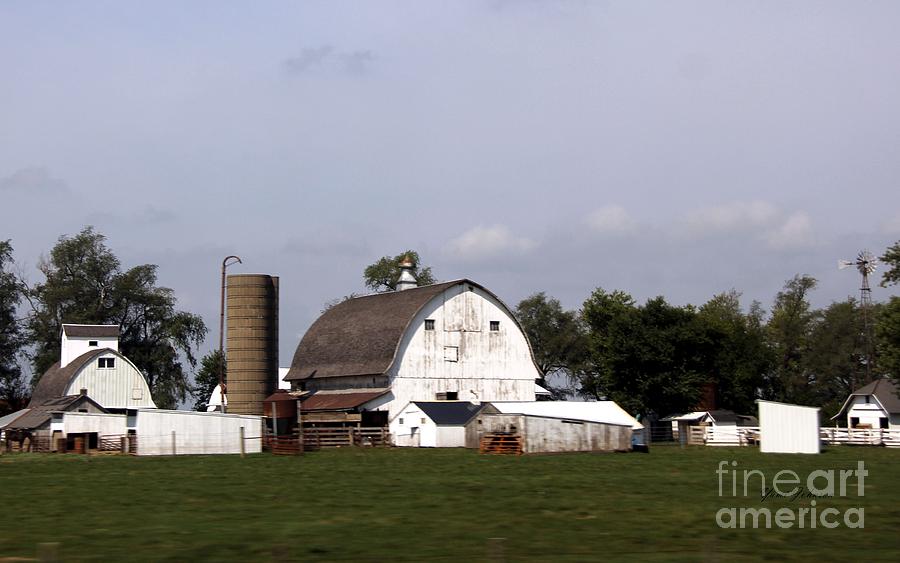 Amish farm Photograph by Yumi Johnson