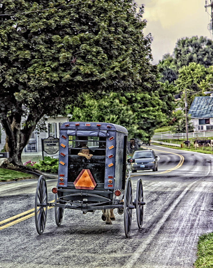 Transportation Photograph - Amish Girl by Madeline Ellis