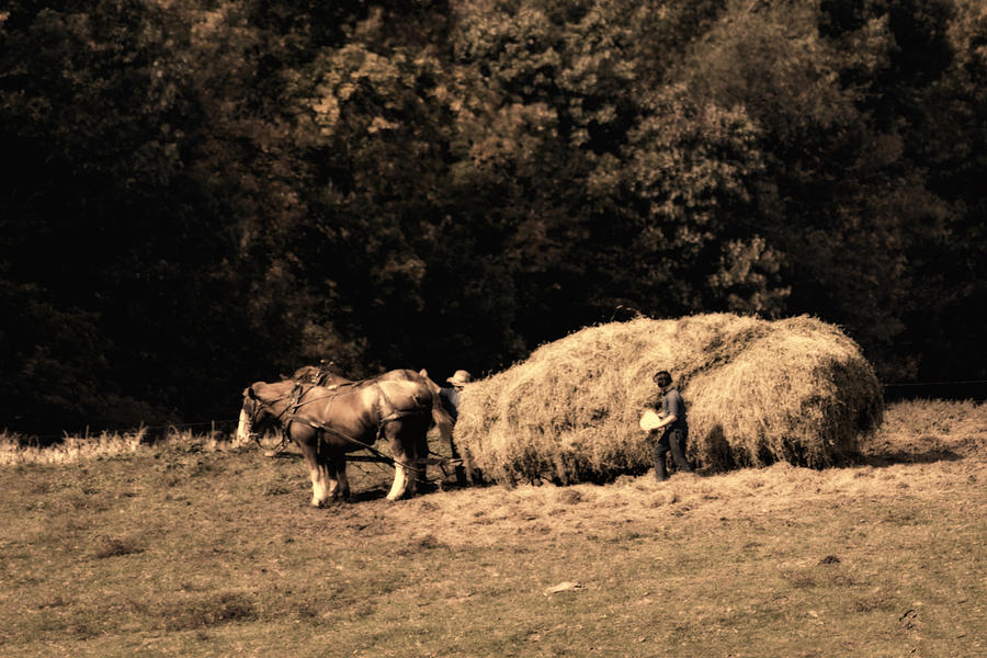 Horse Photograph - Amish Hay Wagon by Tom Mc Nemar