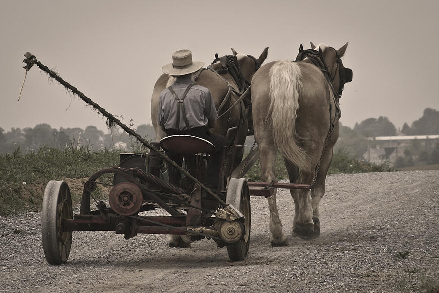 Amish Life Photograph by Wes and Dotty Weber
