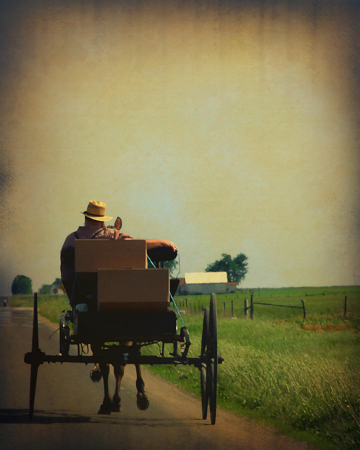 Amish Life Photograph by Terry Eve Tanner