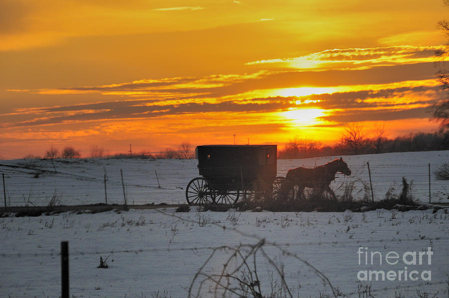 Amish Sunset Photograph by David Arment
