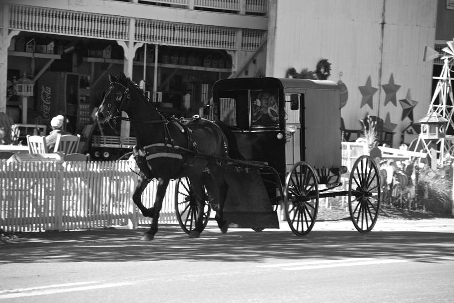 Amish Transportation Photograph by Eric Tressler
