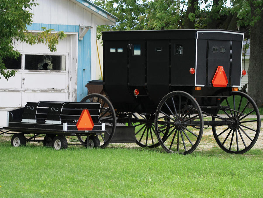 Amish Wagon And Buggy Photograph by Dennis Pintoski