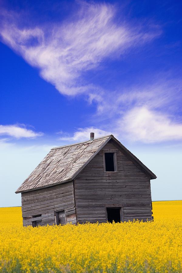 An Abandoned Farm Building Photograph by Carson Ganci