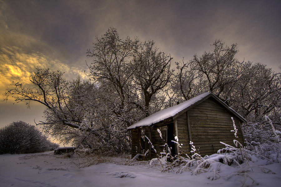 An Abandoned Prairie Homestead Photograph by Dan Jurak