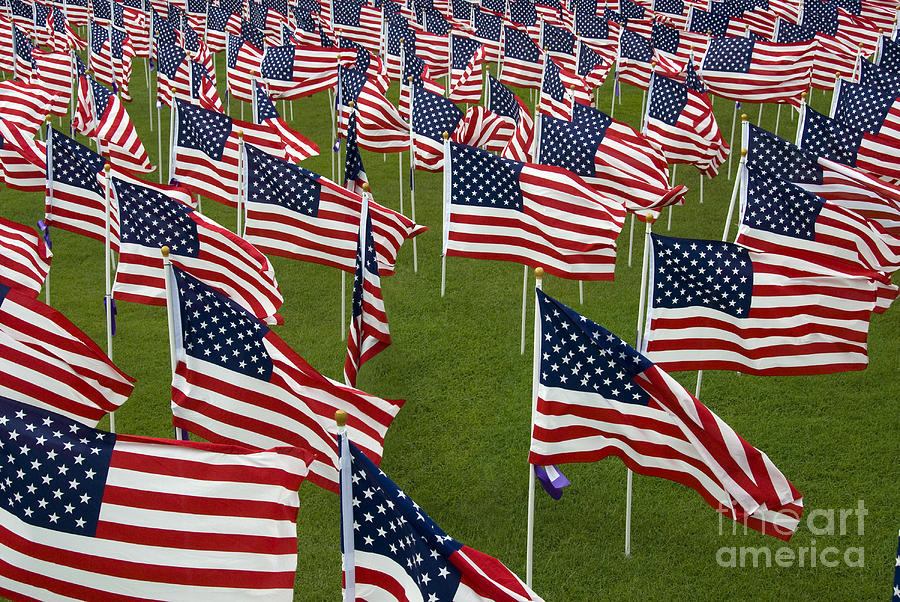 An Abundance Of American Flags Photograph by Stocktrek Images
