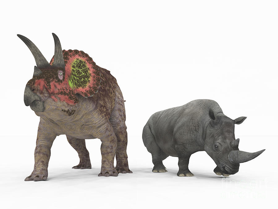 Dinosaur Digital Art - An Adult Triceratops Compared by Walter Myers