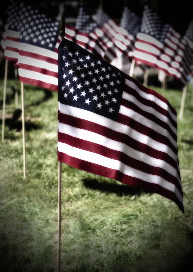 Flag Photograph - An American Flag by Donna Greene