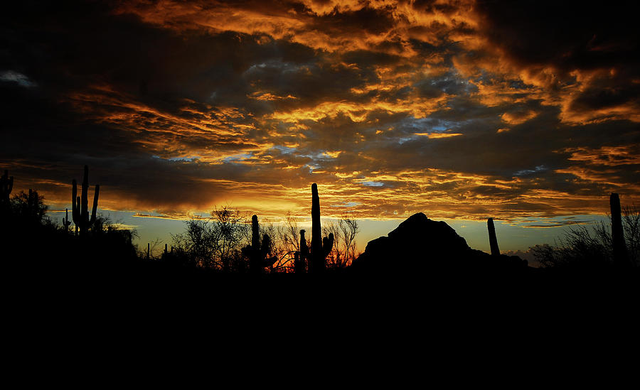Sunset Photograph - An Arizona Desert Sunset  by Saija Lehtonen