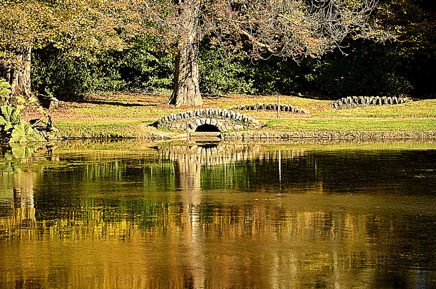 Tree Photograph - An Autumn Bridge by Martina Fagan