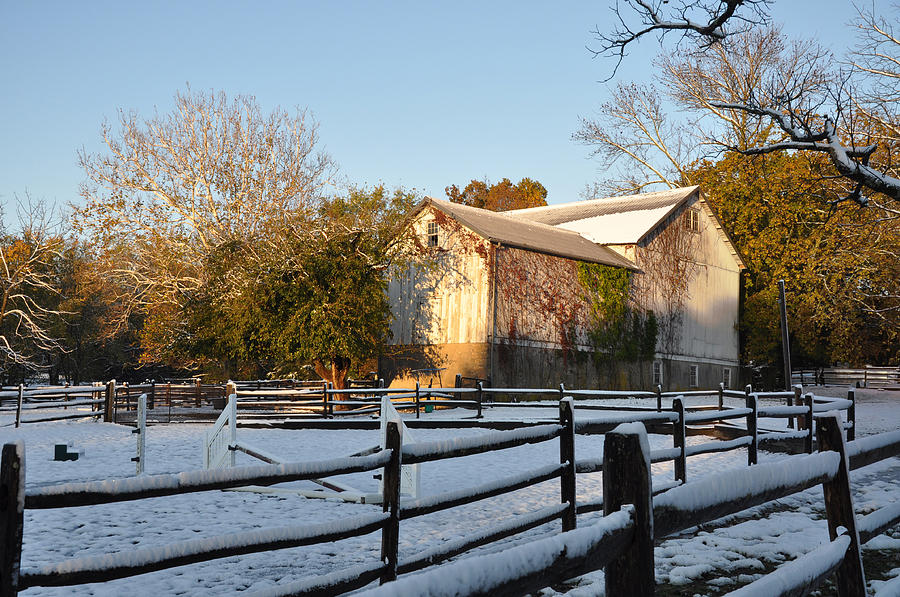 Winter Photograph - An Early Winter on the Farm by Bill Cannon