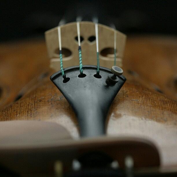 Music Photograph - An Expensive #strad Violin by Manan Din