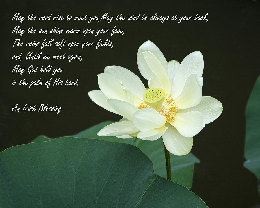 An Irish Blessing Photograph by Kathy Clark