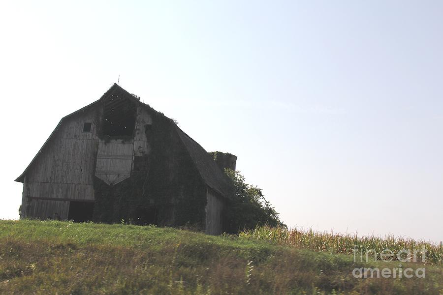 An old Barn on the hill Photograph by Yumi Johnson