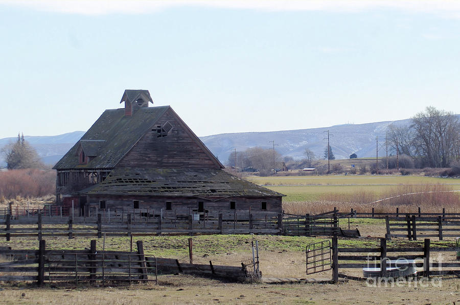 An Old Barn Outside Ellensberg  Photograph by Jeff Swan