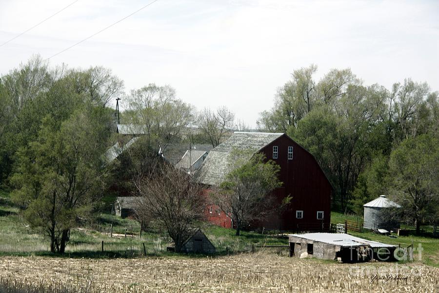 An old Barn with surrounding  spring green. Photograph by Yumi Johnson