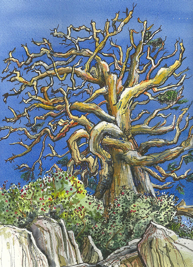 An Old Bristol Pine Painting by Terry Banderas