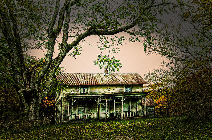 Gone With The Wind Photograph - An Old Home Place by Randall Branham