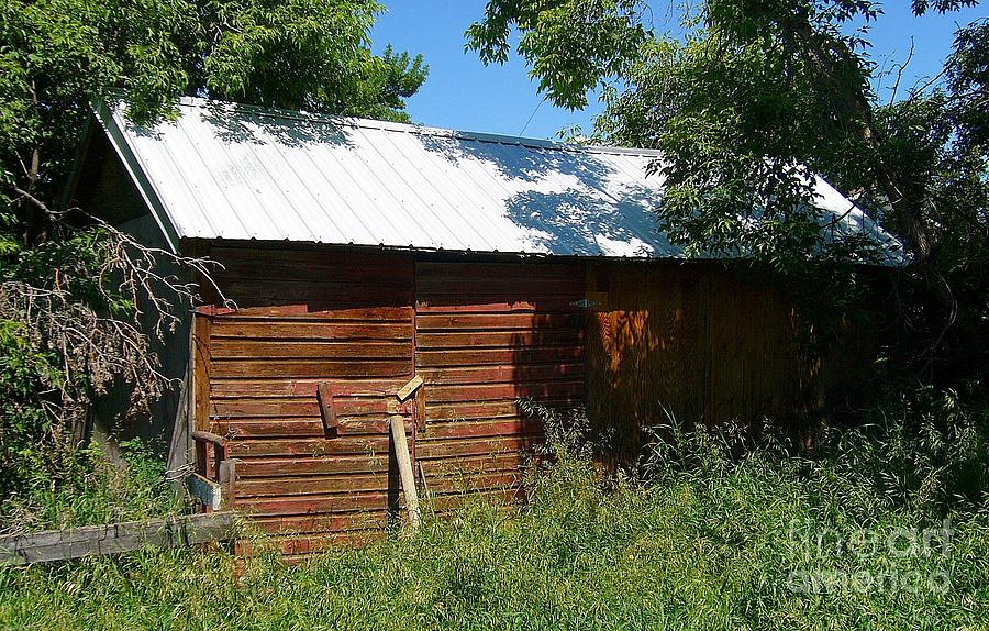 An old shed Photograph by Jim Sauchyn