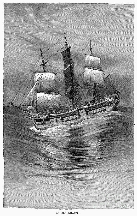 An Old Whaler Photograph by Granger