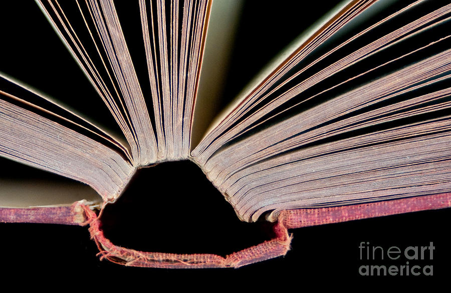 Abstract Photograph - An Open Book by Dan Holm