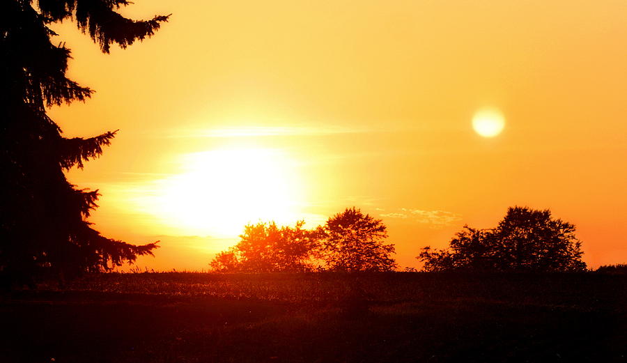 Photograph of the White Hot Sun on an Orange Horizon with Lens Flare Photograph by Angela Rath