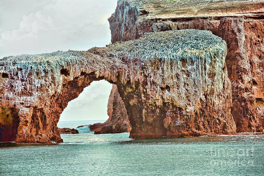 Anacapa Island 's Arch Rock Photograph by Cheryl Young