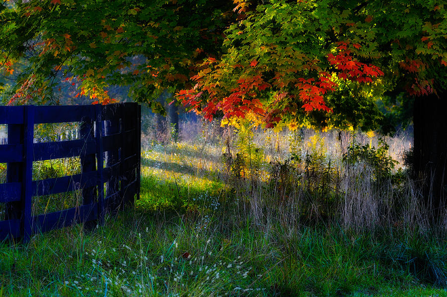 Anchorage Ky Autumn Photograph by Kenneth Tripp