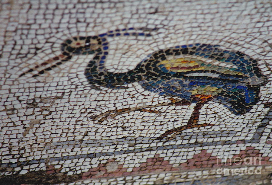 Ancient Bird Mosaic Photograph by Barbara Plattenburg