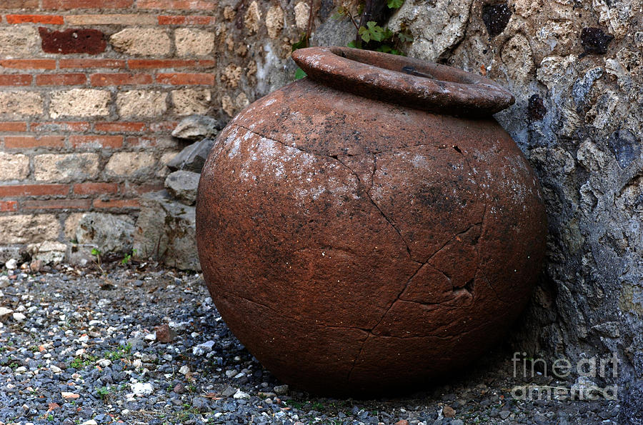 Ancient Relics Of Pompeii Photograph by Bob Christopher