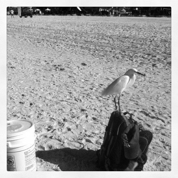 Summer Photograph - And The Bird Made Friends With The by Jessie Schafer