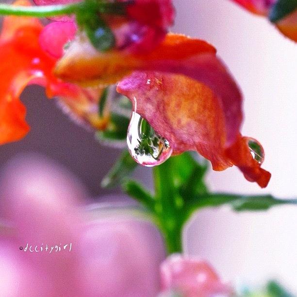 Waterdrop Photograph - And The Tears Come Streaming Down Your by Dccitygirl WDC