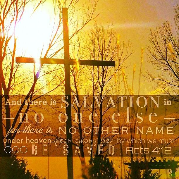 Sunset Photograph - and There Is Salvation In No One by Traci Beeson