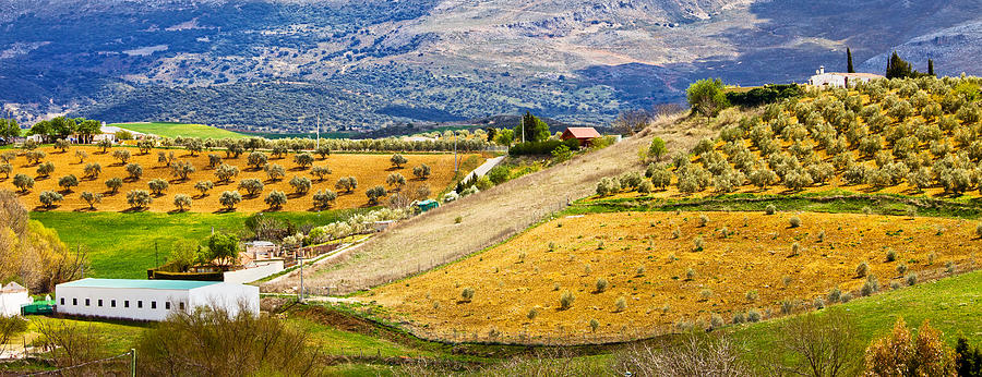 Nature Photograph - Andalusia Countryside Panorama by Artur Bogacki