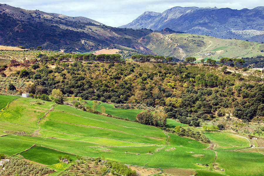 Andalusia Landscape Photograph by Artur Bogacki