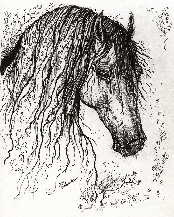 Andalusian Horse Drawing 2 by Angel Tarantella