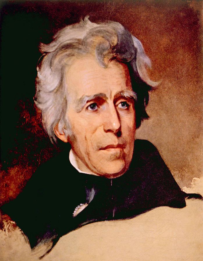 Andrew Jackson 1767-1845, U.s Photograph by Everett - Pixels