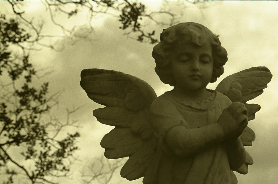 Angel 1 Photograph by Doug Duffey