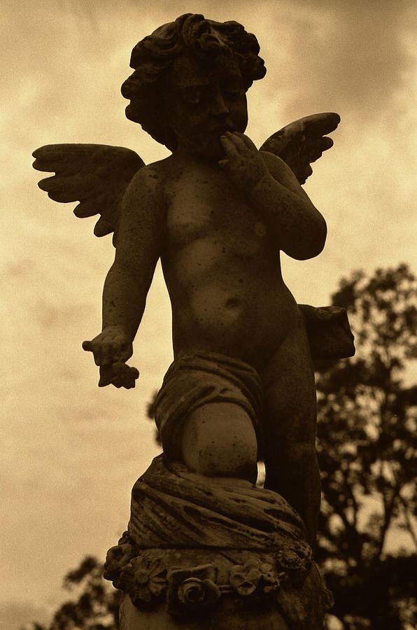 Angel 5 Photograph by Doug Duffey