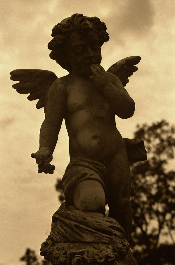 Angel 6 Photograph by Doug Duffey