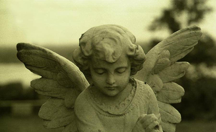 Angel 7 Photograph by Doug Duffey