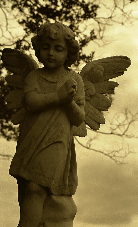 Angel 8 Photograph by Doug Duffey