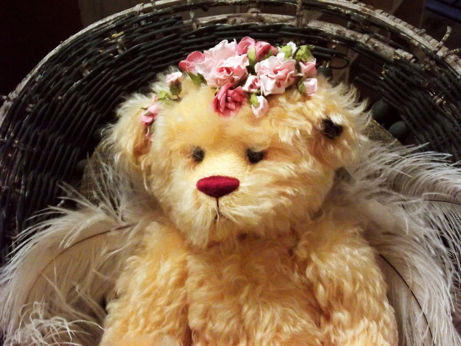 bear engel bear engel