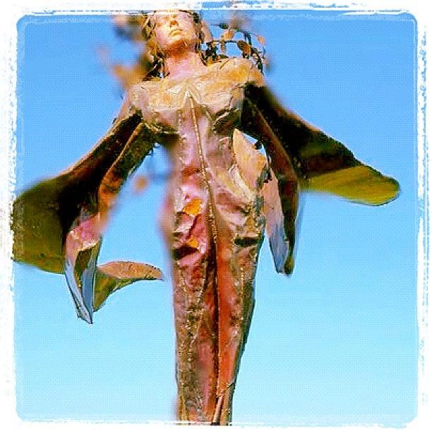Chicago Photograph - #angel #chicago #sculpture by David Sabat