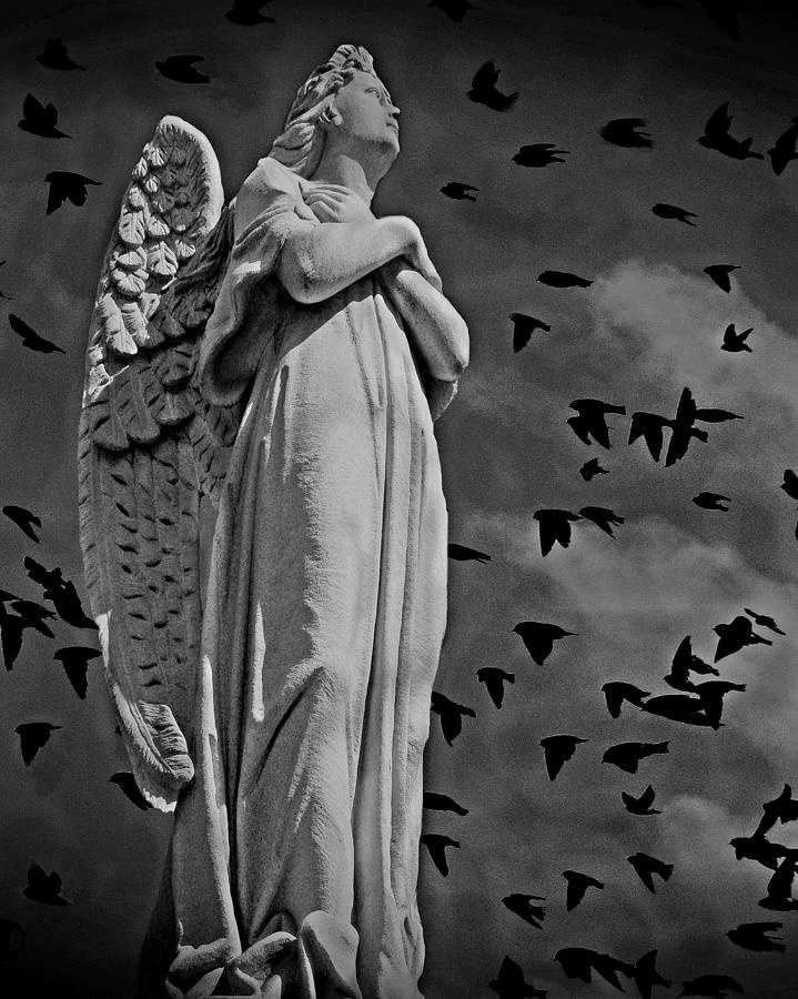 Angel of Stone BW Photograph by David Dehner