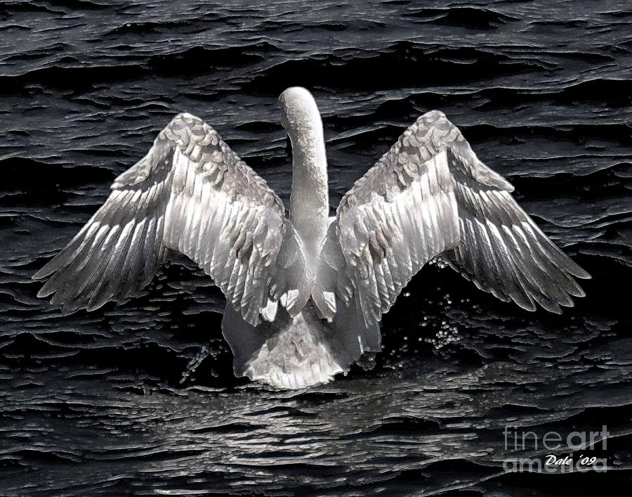 Angel Wings Digital Art by Dale   Ford