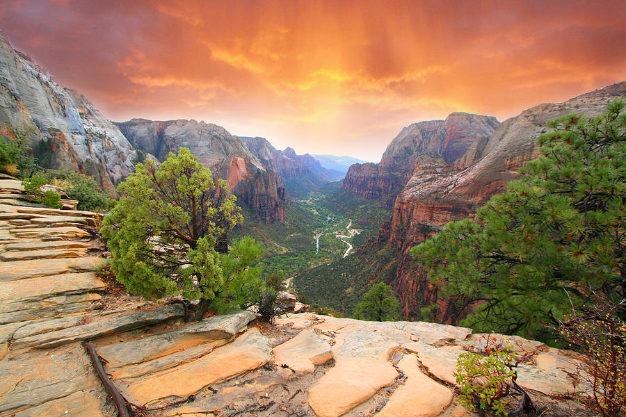 Sunset Painting - Angels Landing Zions by Curt Snarr