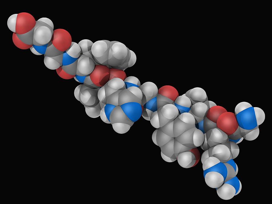 Angiotensin Hormone Molecule Digital Art by Laguna Design