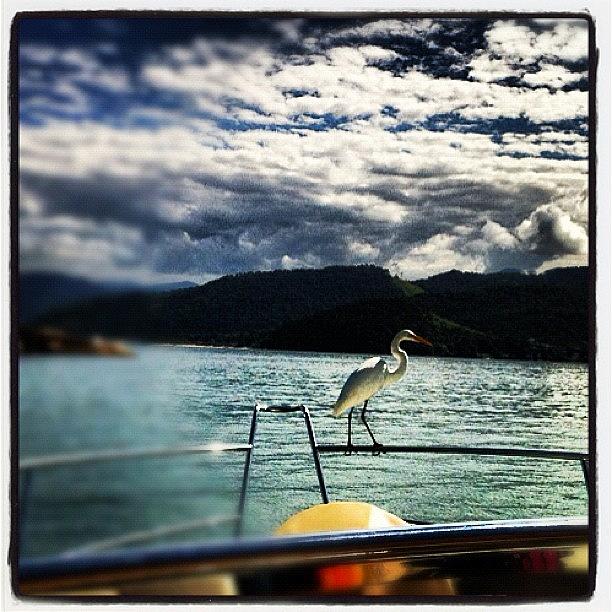 Paradise Photograph - #angradosreis #ilhagrande #igersrj by Avatar Pics